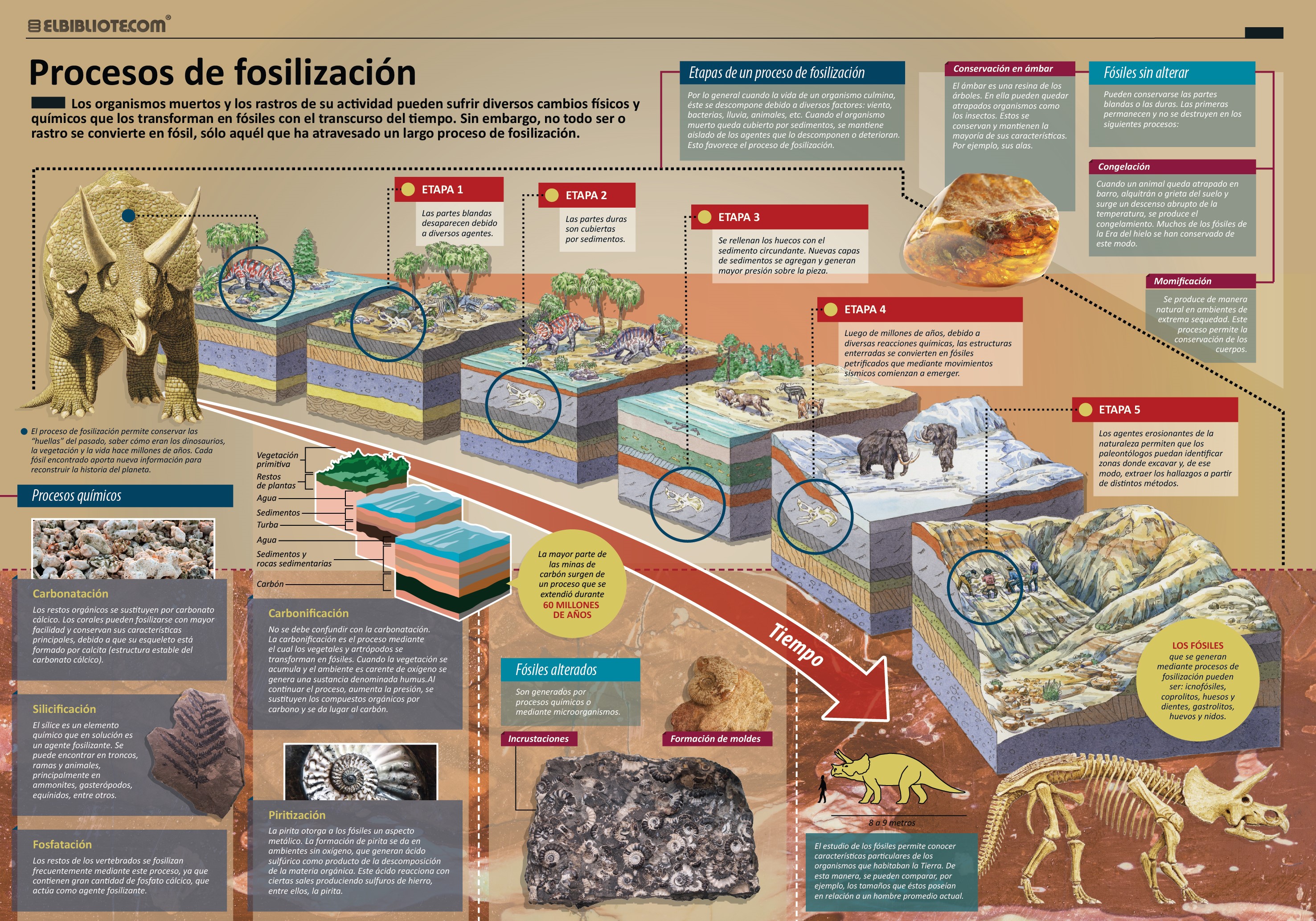LIBROPEDIA Ciencias Naturales