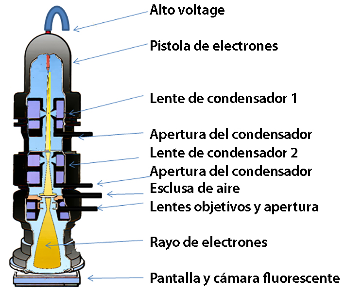 LIBRO PEDIA Ciencias Naturales Elbibliote LIBRO PEDIA Ciencias Naturales Elbibliote