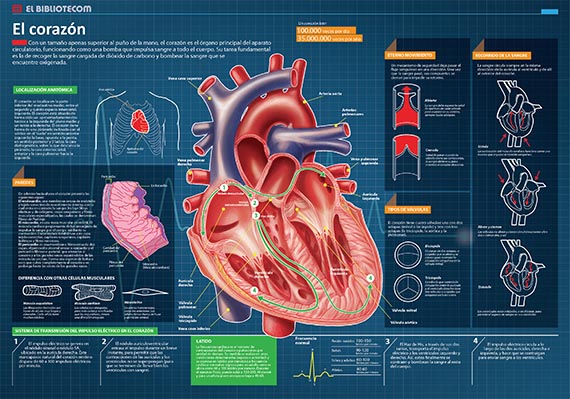 LIBRO-PEDIA Ciencias Naturales - Elbibliote.com