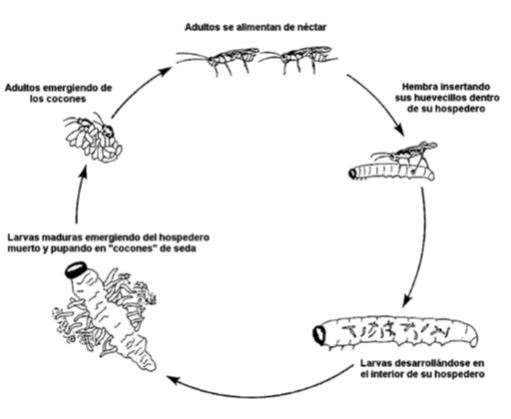 Artículos Destacados 2768