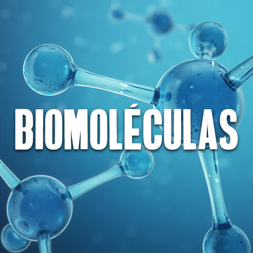 Biomoléculas