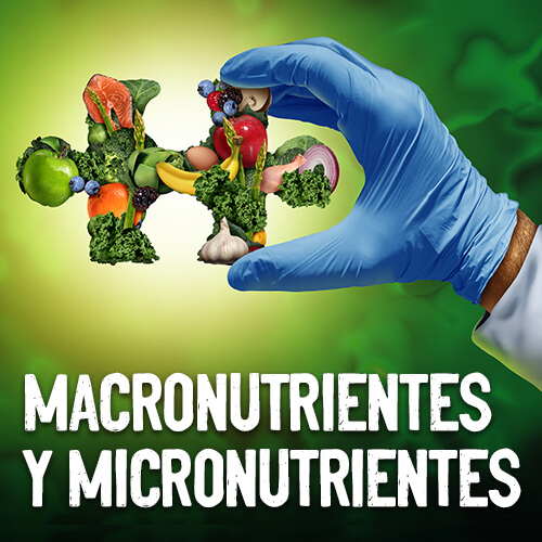 Macronutrientes y micronutrientes