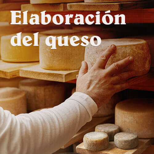 Elaboración del queso