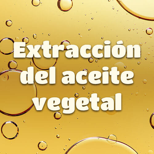 Extracción del aceite vegetal