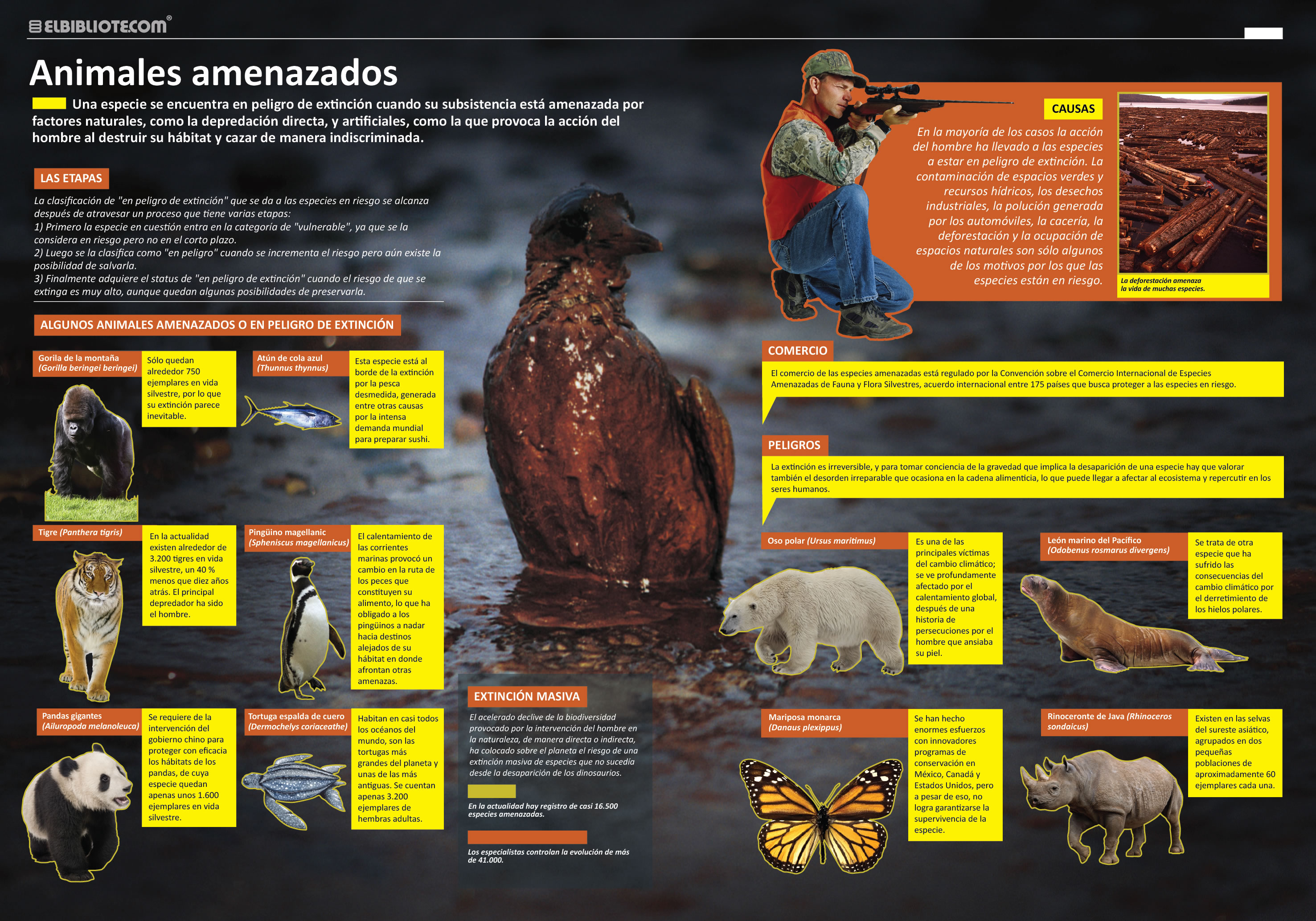 Libro Pedia Ciencias Naturales 