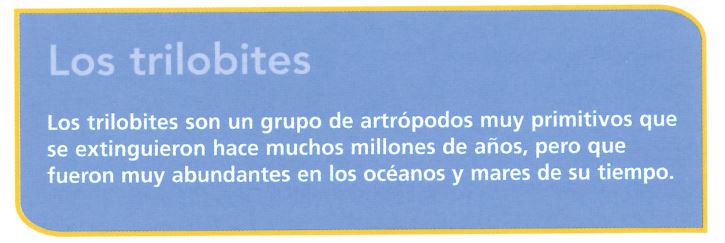 Preguntas y ejercicios - Elbibliote.com