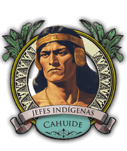 Pueblos Originarios